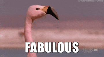 200_s.gif