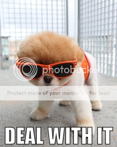 deal-with-it-puppy-1.png